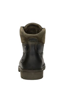 Amur Gtx C32