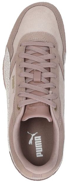 Bella Donna SD - large