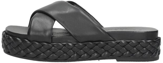 SHS1365 - large