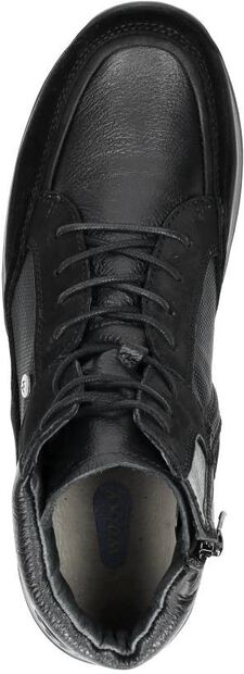 Raf - large