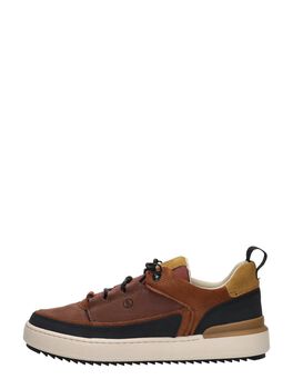 Courtlite Go