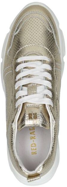 Sneakers Laag - large