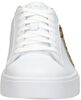 Eden LX - Feeling Fierce - small