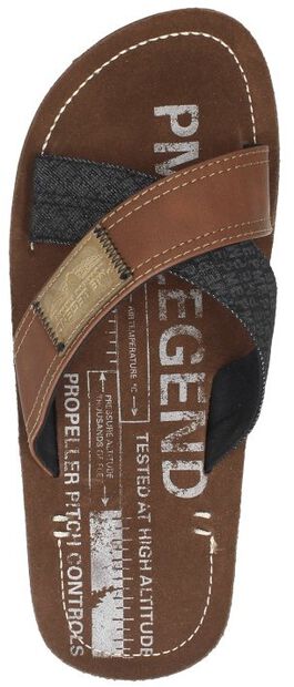 Haig - large