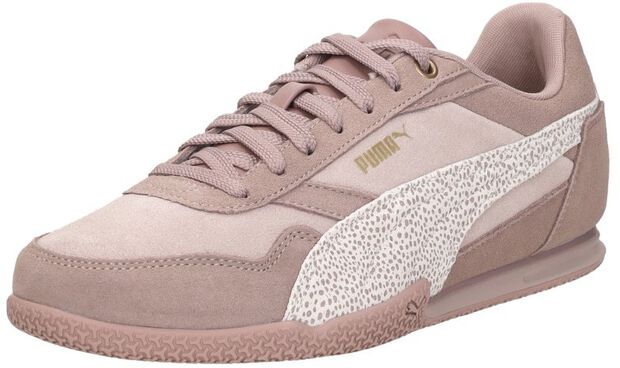 Bella Donna SD - large