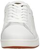 Cadet Pop M - small