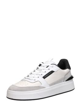 Endorsed Tennis