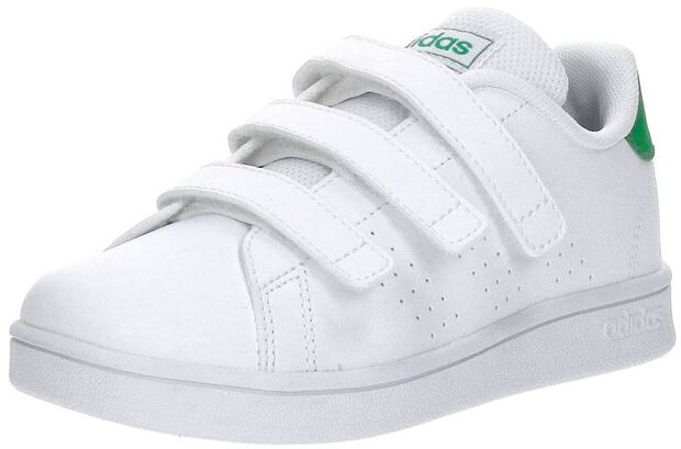 Advantage CF C - large