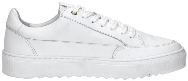 Sneakers Laag - large