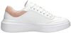 Cordova Classic - Best Behavior - small