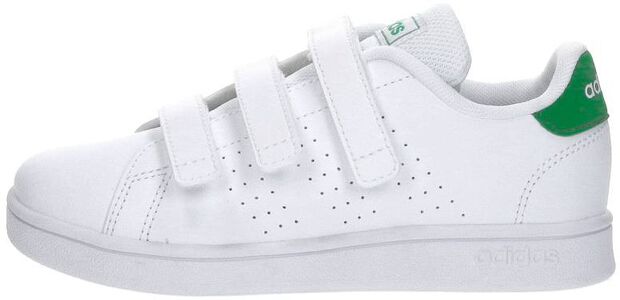 Advantage CF C - large