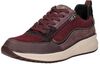 H-Macie - small