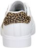 Eden LX - Feeling Fierce - small