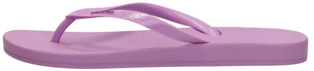 Anatomic Colors - large