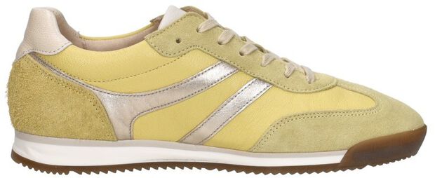 Sneakers Laag - large