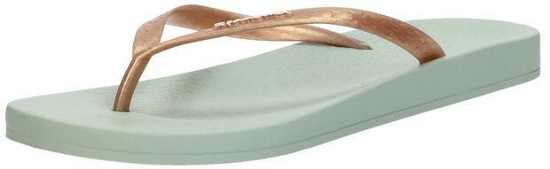 Anatomic Tan - large