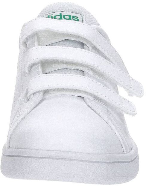 Advantage CF C - large