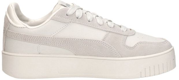 Carina Street SD - large