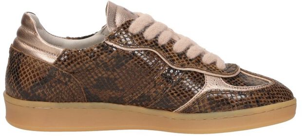 Imola - large