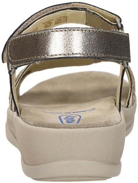 Fantom Elite - large