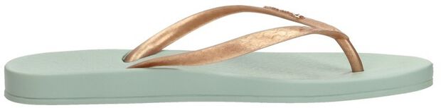 Anatomic Tan - large