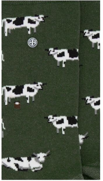 Cows - large
