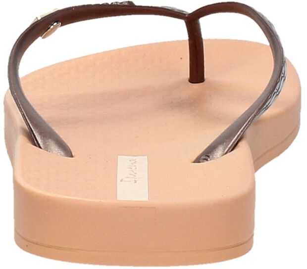 Anatomic Brasilidade - large