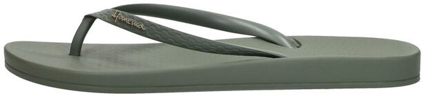 Anatomic Colors - large