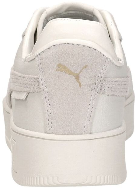 Carina Street SD - large