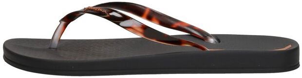 Anatomic Connect - large