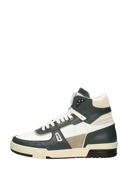 Basketta Hi