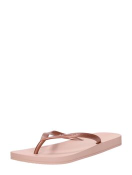 Anatomic Colors Kids