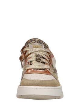 Lage Schoenen