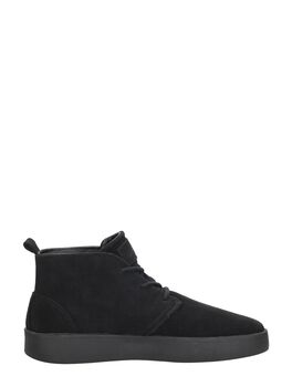 Desert Chukka