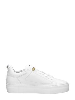 Women Low Cut Sneaker