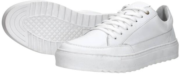 Sneakers Laag - large