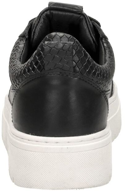 Sneakers Laag - large