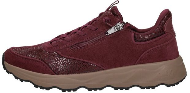H-Tessi - large