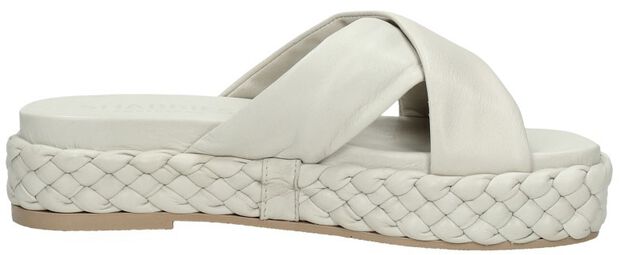 SHS1365 - large