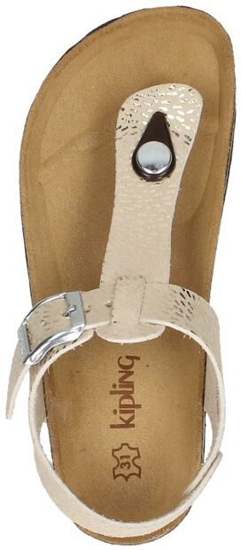 Pepita 1 - large