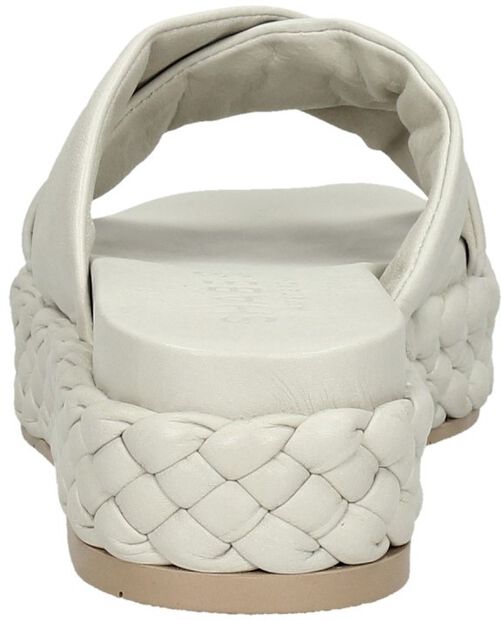 SHS1365 - large