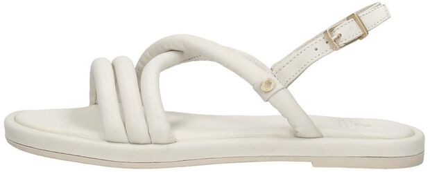 FRS1427 - large
