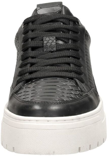 Sneakers Laag - large