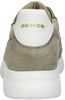 Hedley Sue Prf - small