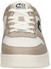 Royal C - small
