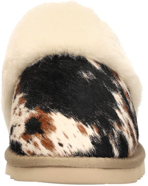 Collie - large