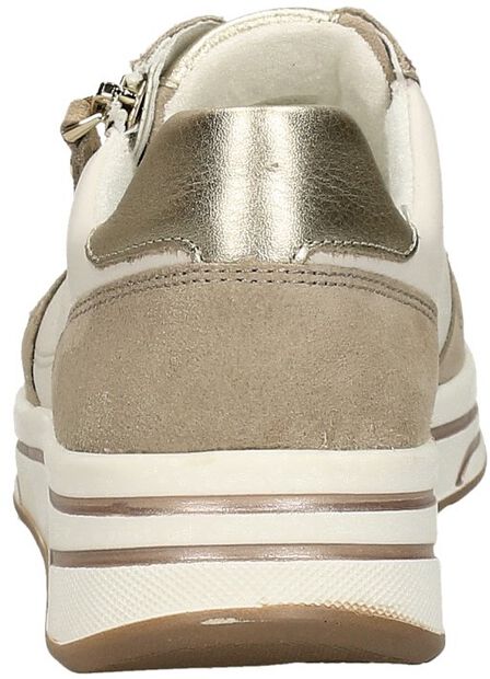 Sapporo-S 2.0 - large