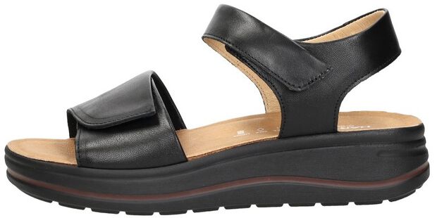 Woogie Natural - large