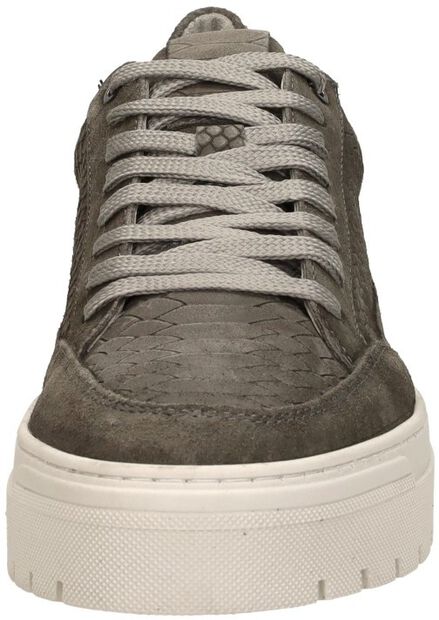 Sneakers Laag - large