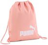 Phase Gym Sack - small